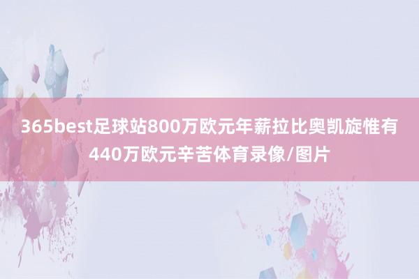 365best足球站800万欧元年薪拉比奥凯旋惟有440万欧元辛苦体育录像/图片