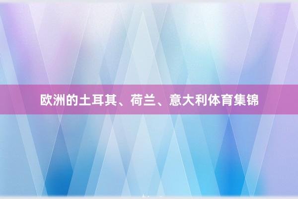 欧洲的土耳其、荷兰、意大利体育集锦