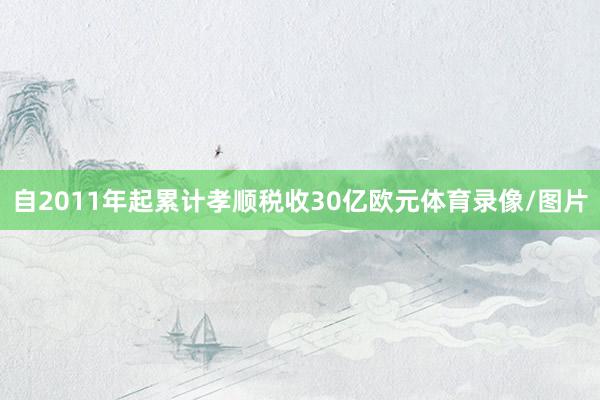 自2011年起累计孝顺税收30亿欧元体育录像/图片