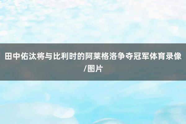 田中佑汰将与比利时的阿莱格洛争夺冠军体育录像/图片