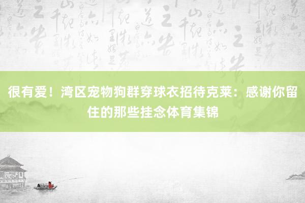 很有爱！湾区宠物狗群穿球衣招待克莱：感谢你留住的那些挂念体育集锦