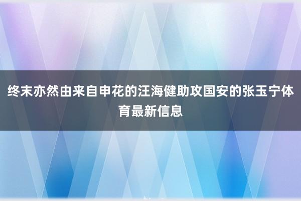 终末亦然由来自申花的汪海健助攻国安的张玉宁体育最新信息