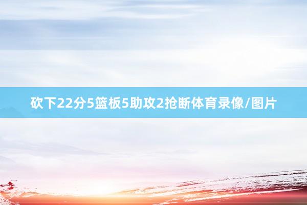 砍下22分5篮板5助攻2抢断体育录像/图片