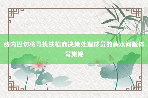 费内巴切将寻找扶植商决策处理球员的薪水问题体育集锦