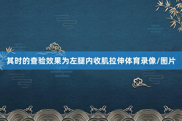 其时的查验效果为左腿内收肌拉伸体育录像/图片