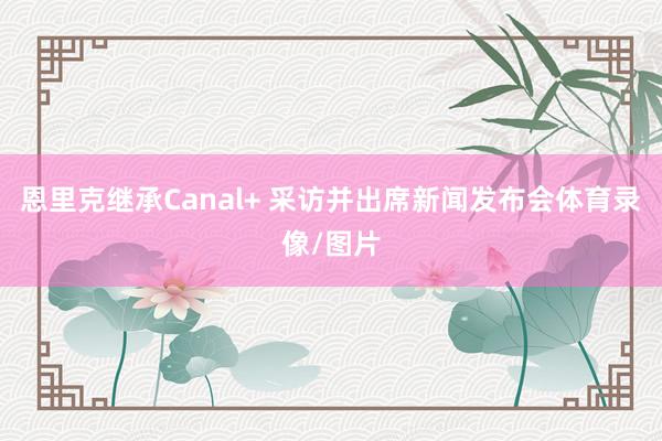 恩里克继承Canal+ 采访并出席新闻发布会体育录像/图片