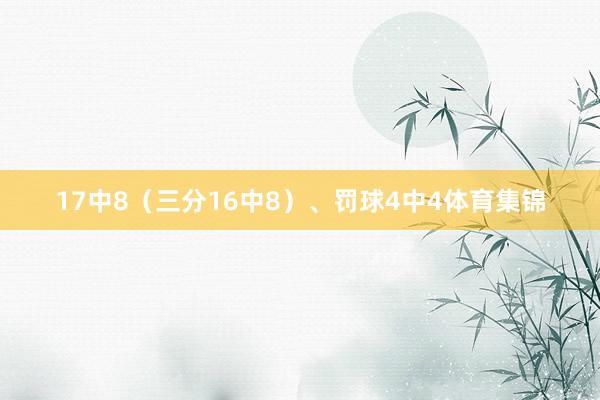 17中8（三分16中8）、罚球4中4体育集锦